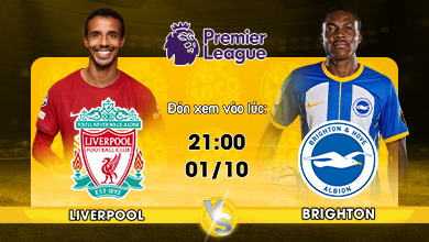 Liverpool vs Brighton _390x220