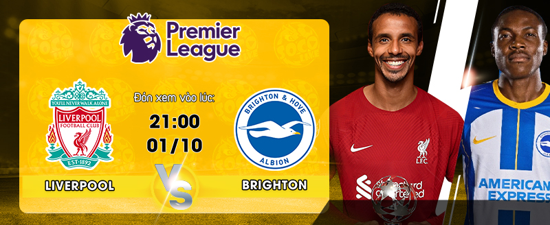 Link xem trực tiếp Liverpool vs Brighton 21h00 ngày 01/10