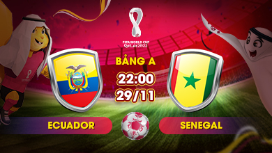 Link xem trực tiếp Ecuador vs Senegal