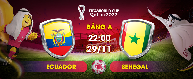 Link xem trực tiếp Ecuador vs Senegal