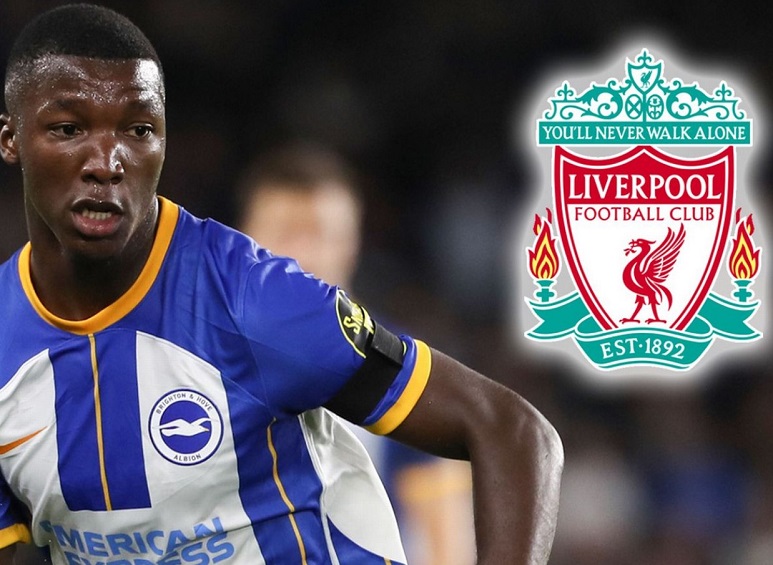 Liverpool để mắt đến tiền vệ Caicedo của Brighton