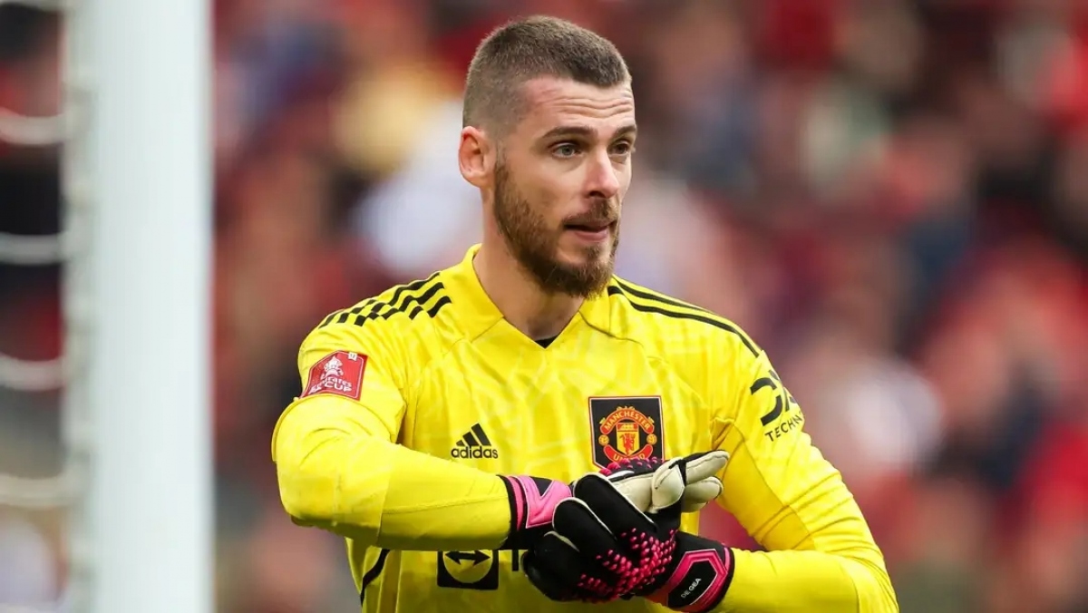 David De Gea trong giai đoạn từ 2011 đến nay